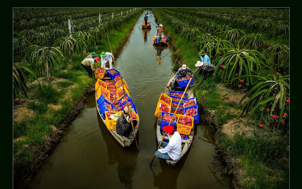 Ngây ngất với thiên nhiên và đời sống người Việt qua ảnh
