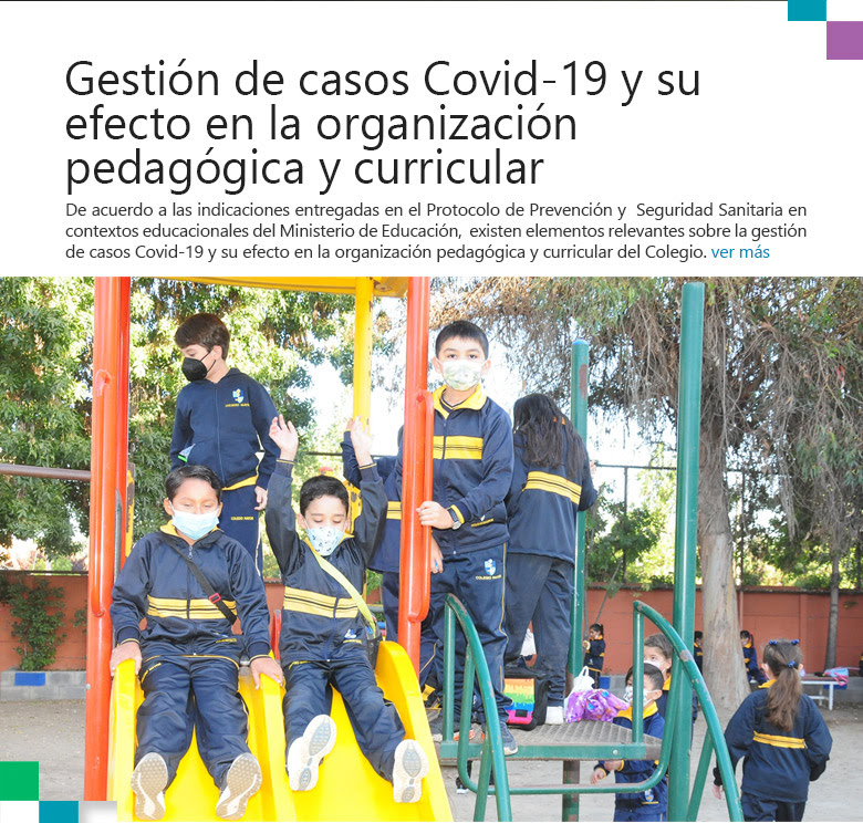 Gestión de casos Covid-19 y su efecto en la organización pedagógica y curricular