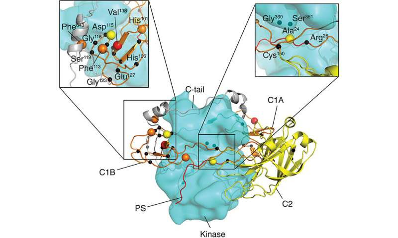 'Leaky' activity of mutated enzyme underlies neurodegenerative disease