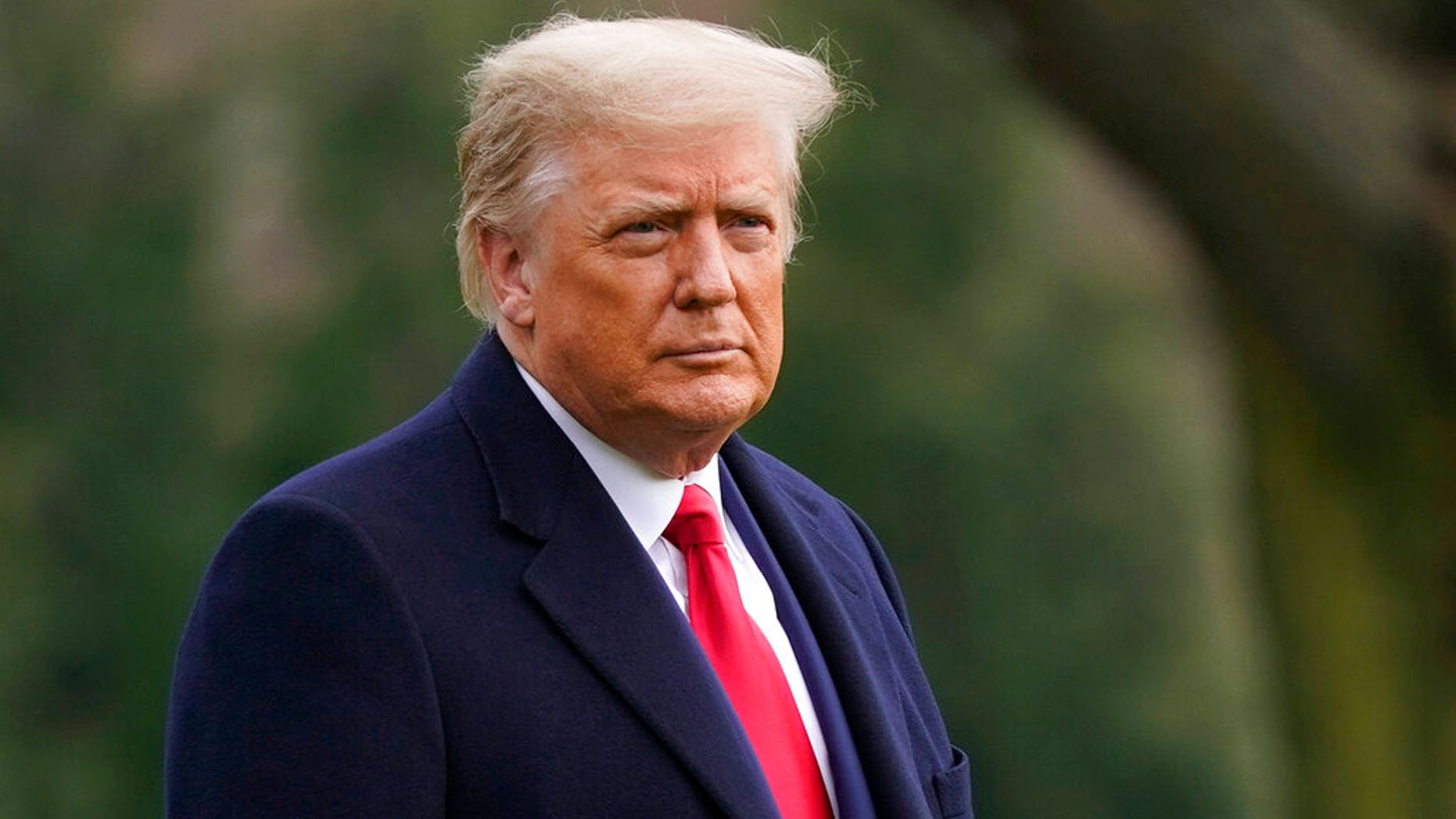 Donald Trump Donald Trump