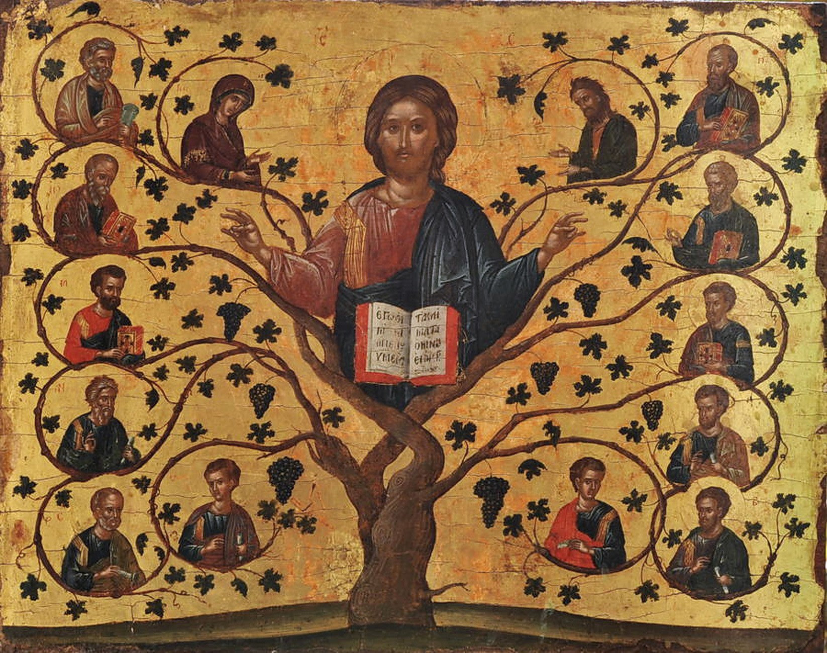 JESUS IN SCRIPTURE I AM THE VINE YOU ARE THE BRANCHES -