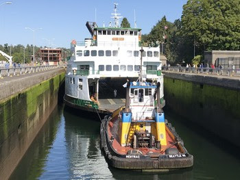 Photo of Elwha at Hiram M. Chittenden Locks