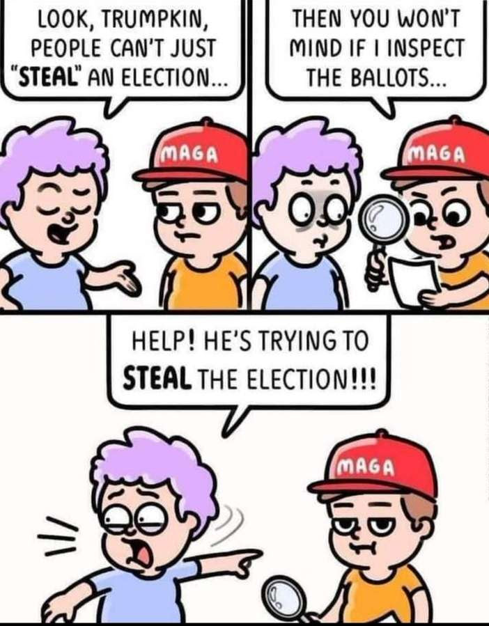 Cartoon showing Election stealing