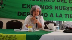 berta oliva