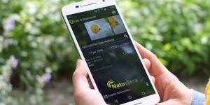 La ciència ciutadana s’erigeix com una gran aliada de la biodiversitat