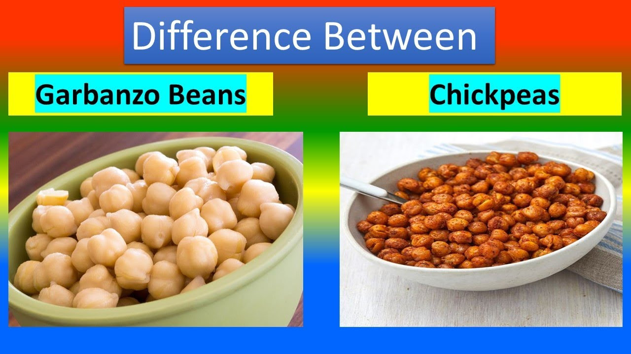 The origin of the word “chickpea†is from the. Difference Between Garbanzo Beans and Chickpeas YouTube