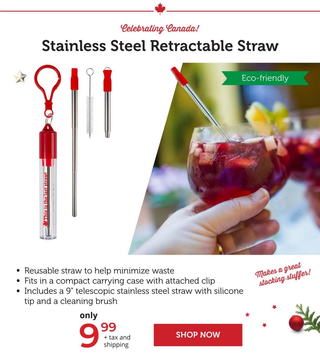 Stainless Steel Straw Retractable Straw