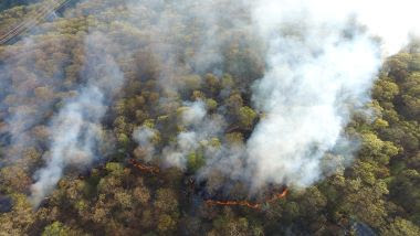 aerial view of smoky, burning forest