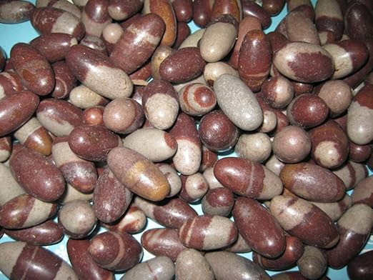 Amazon.com: Bulk 1" Shiva Lingam Pocket Stones - 51 Pc. Lot - Best Price  shiva Sacred Narmada Bana Lingam, Shri Narmadeshwar Banalinga - Spiritual  Sacred Narmada Shiva Lingam stone of the Indian