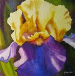 American Iris 1 - Posted on Wednesday, April 1, 2015 by Nel Jansen