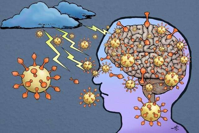 Research strongly suggests COVID-19 virus enters the brain