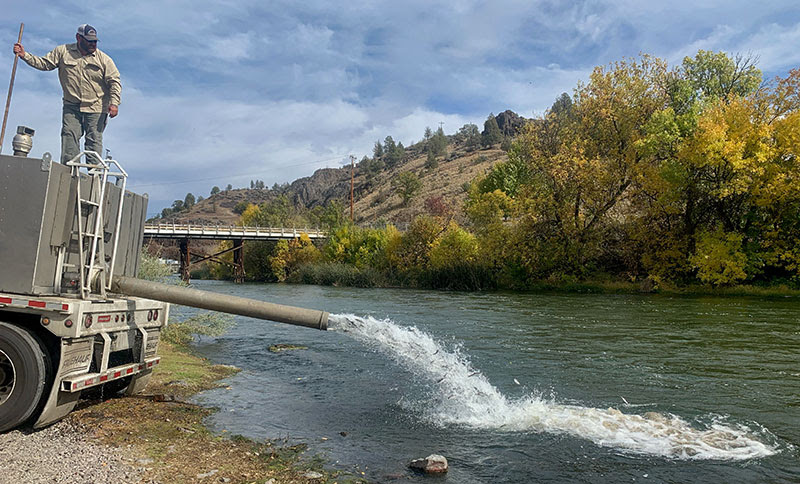 worker releasing fish from truck into river