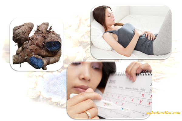 Công dụng của nghệ đen giúp điều trị đau bụng kinh
