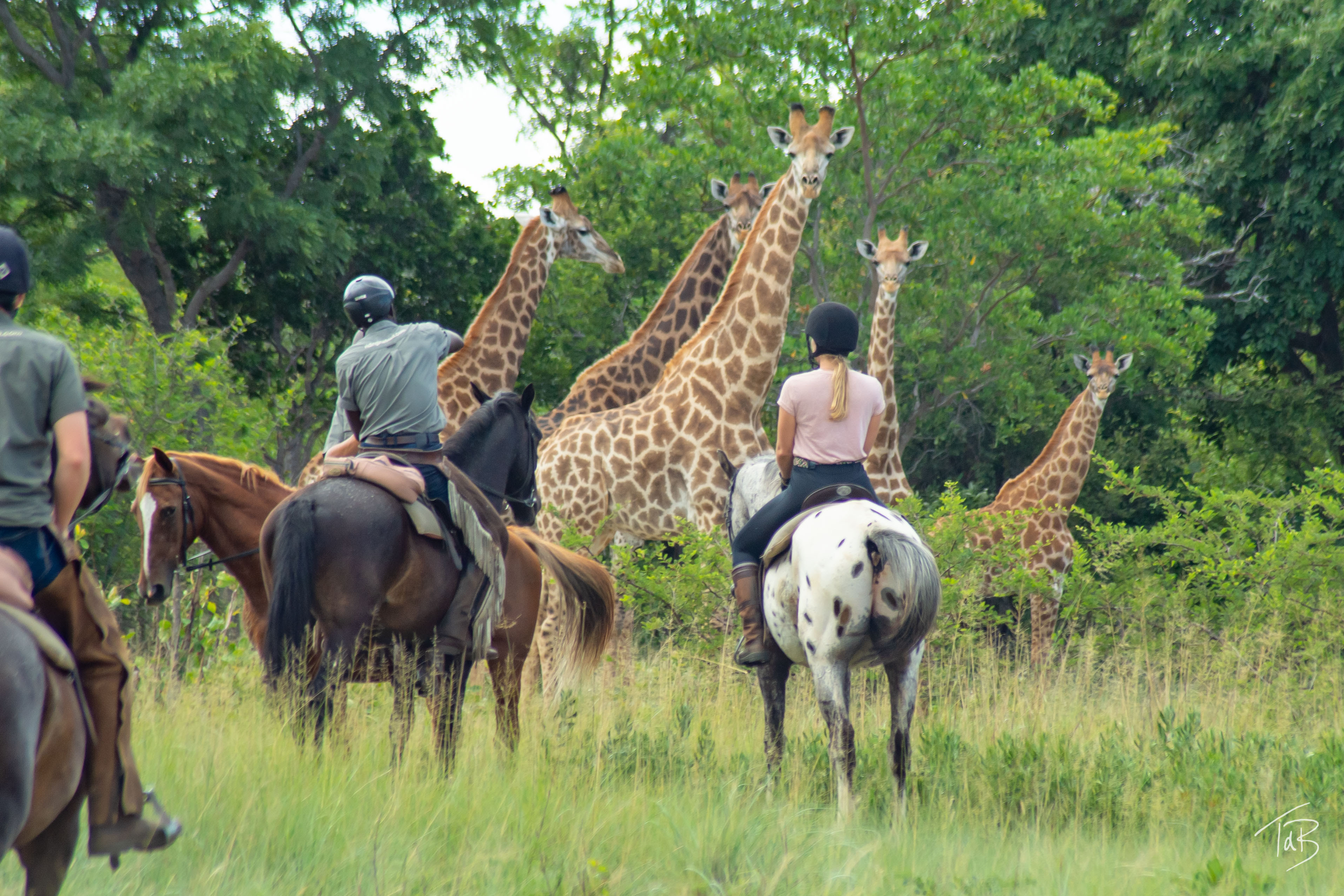 horse riding holiday