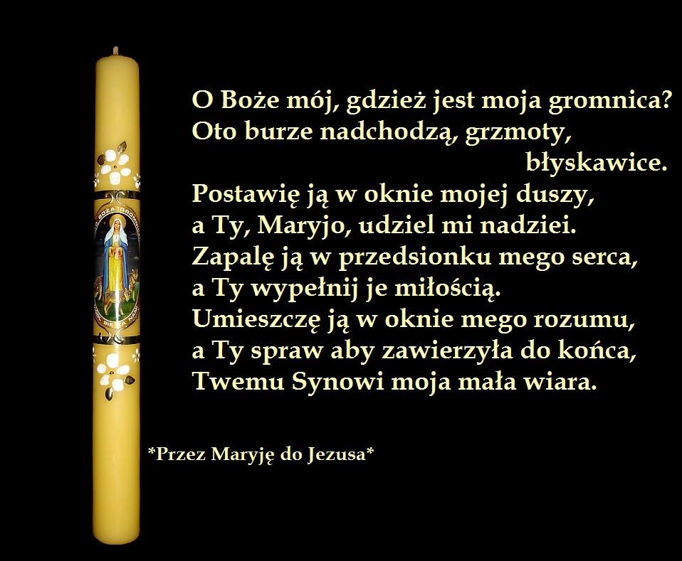 ŚODR Częstochowa - Polacy wierni tradycji - Matki Bożej Gromnicznej