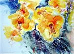 Daffodils - Posted on Tuesday, February 10, 2015 by Christa Friedl