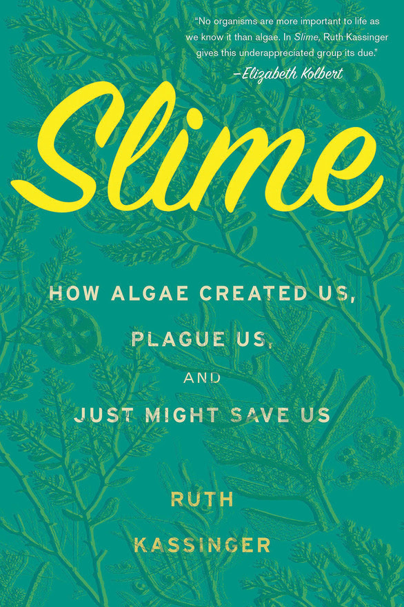 Slime by Ruth Kassinger