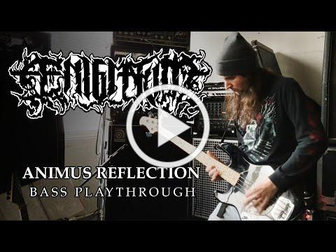 ÆNIGMATUM - Animus Reflection (Brian Rush Bass Playthrough)