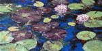 Water Lilies I- 10x20 - Posted on Sunday, December 7, 2014 by Garland Fulghum