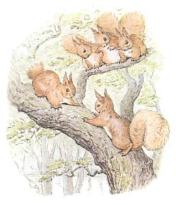 27-color-drawing-of-five-squirrels-playing-on-tree-branch-public-domain