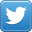 Follow <b>YOUR-TWITTER-ACCOUNT-NAME</b> on Twitter