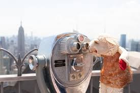 Lamb Chop is touring iconic NYC sites for Puppet Week
