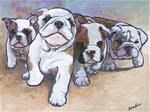 Bulldog Puppies - Posted on Monday, March 9, 2015 by Nadi Spencer