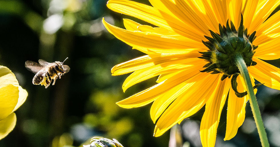 Inside the Lab Where Spiders Put on Face Paint and Fake Eyelashes