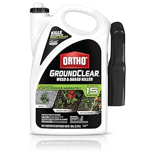 Ortho GroundClear Weed and Grass Killer