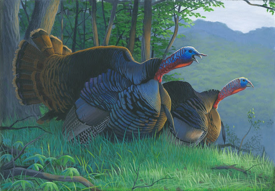 An illustration of two turkeys.