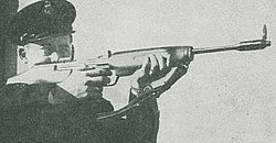 M1946 Sieg Automatic Rifle.jpg