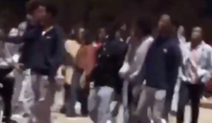 Minnesota: Muslim migrants riot at amusement park, forcing evacuation