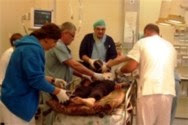 Israeli medical personnel have been treating wounded Syrians caught in the civil war for more than two years.