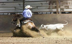 Justin Stanton of Stanton Performance Horses, TX