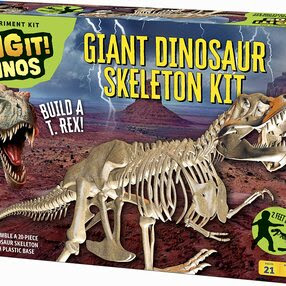 Giant Dinosaur Skeleton Kit (T-Rex)