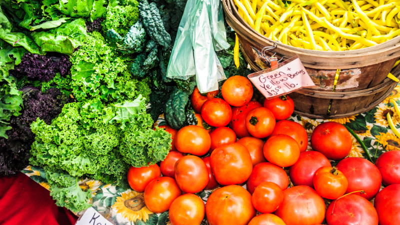 Vermont Food Security Survey
