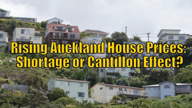 Housing shortage or Cantillon effect?