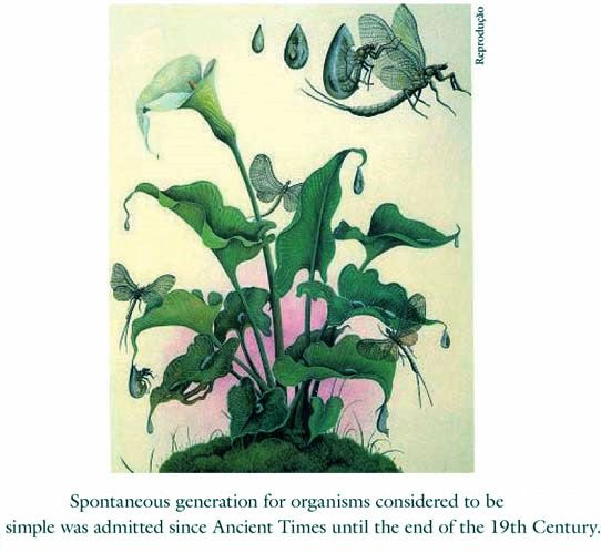 Growth of Organisms