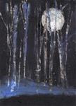 Forest by Moonlight - Posted on Friday, January 16, 2015 by Meredith Adler