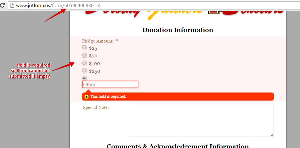 My dollar values are not reading (showing up) on my donor card submissions Screenshot 62