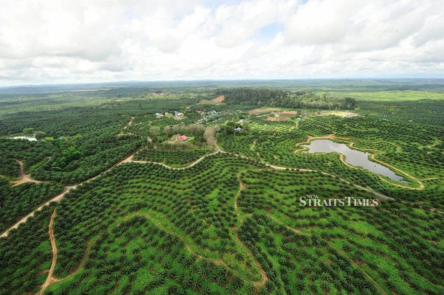 IJM Corp Bhd receives an offer from Kuala Lumpur Kepong Bhd to buy 494.86 million shares representing a 56.2 per cent stake in IJM Plantations Bhd for RM1.53 billion