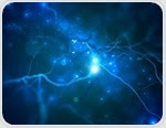 Neurogenesis Importance and Regulation