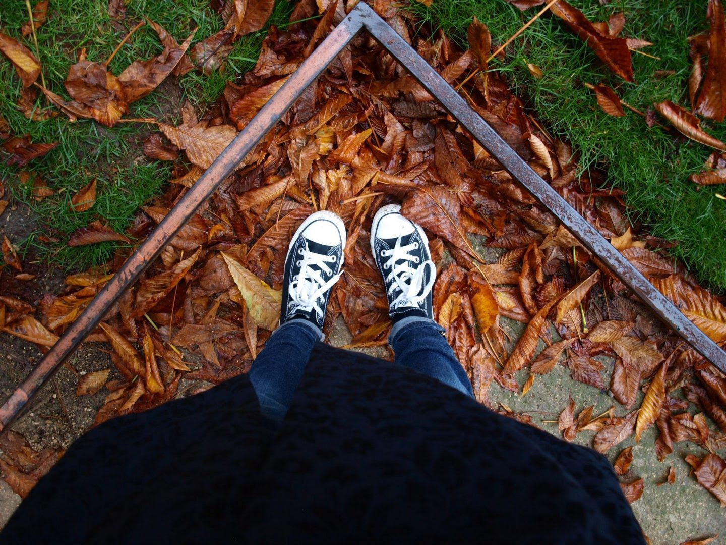 Black-converse-in-fall-leaves-in Paris-by Hello-Lovely-Studio
