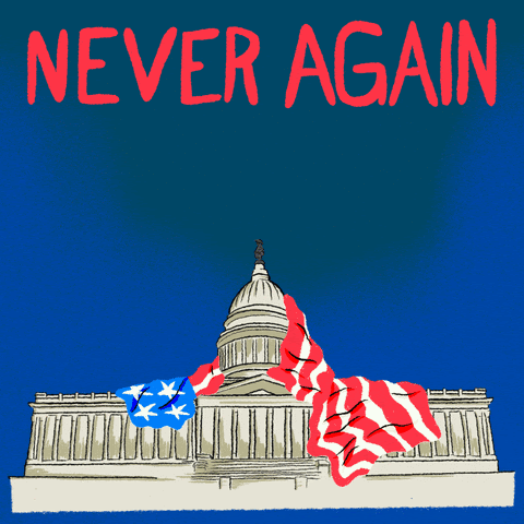 Image of the US capitol with the American flag draped on top of it. The words above read "Never again 1.6.21"