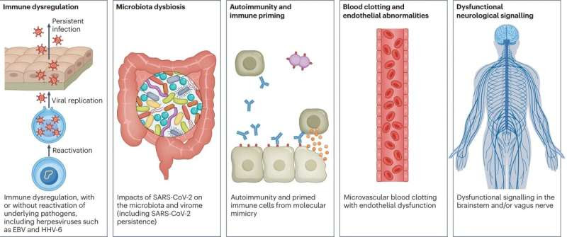 Research review suggests long covid may last indefinitely for some people and mimic other ailments