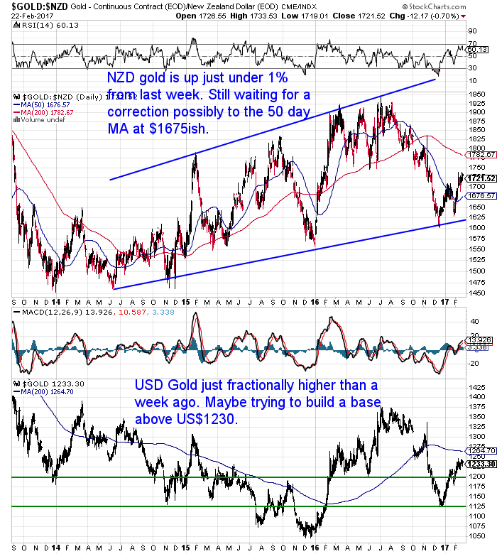 NZ Dollar Gold Chart