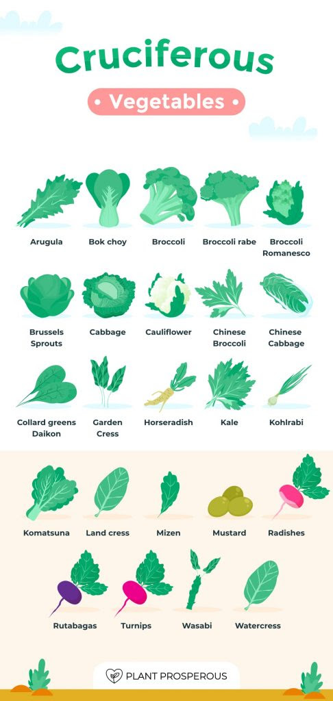list of cruciferous vegetables infographic