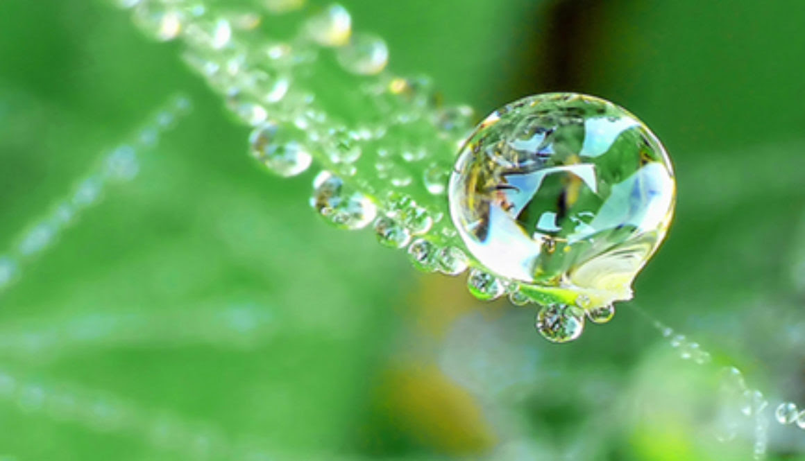 water-drop-1160x665