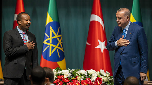 ¿Qué busca Erdoğan en África?