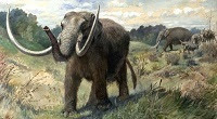 American mastodon